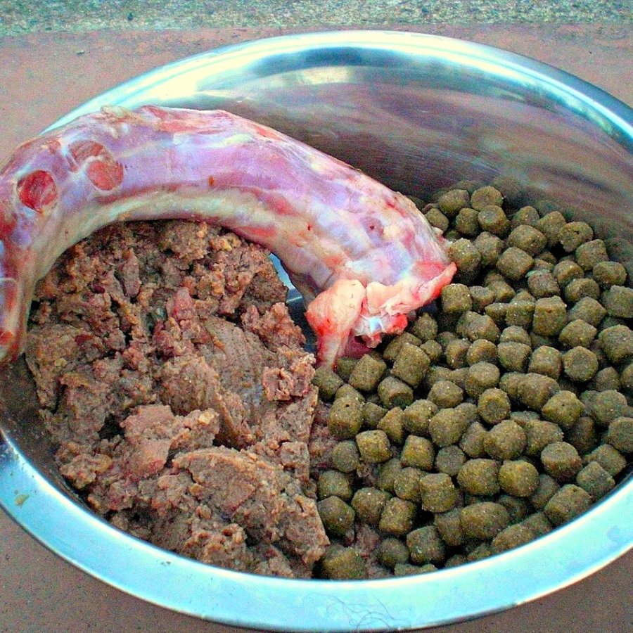 Chicken Dog Food