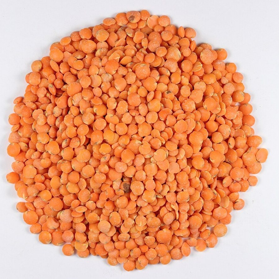 Deshi Masoor Dal