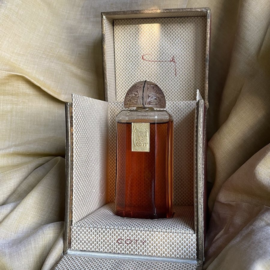 Oud Attar Concentrated