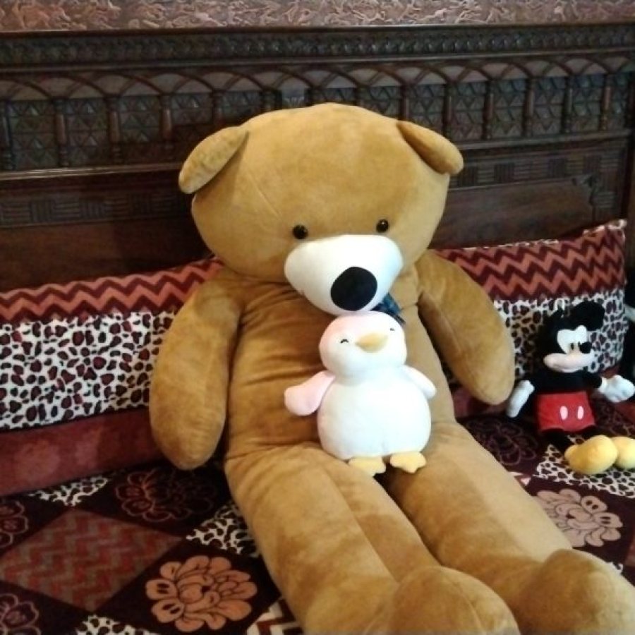 Teddy Bear Large